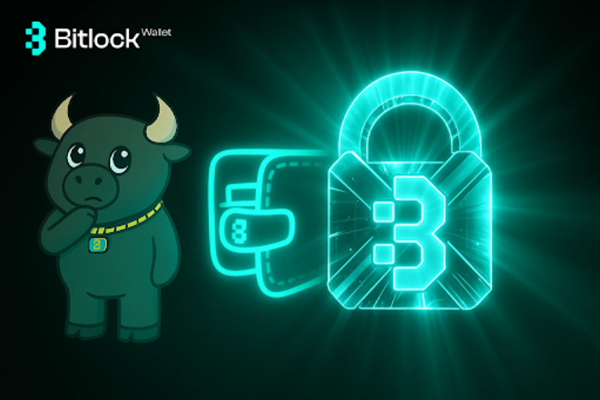 Crypto Wallet Cold - The Secret Weapon Smart Investors Use to Protect Their Crypto with Bitlock