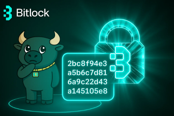 The Truth About Cryptocurrency Addresses with Bitlock Wallet