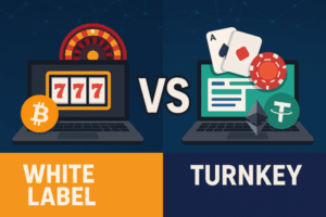 White Label vs Turnkey Casino Solutions for Crypto Casinos