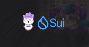 After HIPPO's Binance Success, $ZZZZCAT Could Be the Next Big SUI Meme Coin – Join the Snoozecat Presale Now!