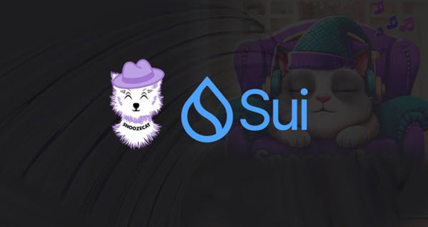 After HIPPO's Binance Success, $ZZZZCAT Could Be the Next Big SUI Meme Coin – Join the Snoozecat Presale Now!