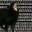 aaa cat