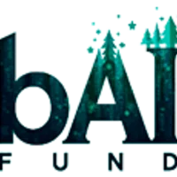 bAI Fund
