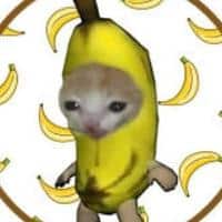 BananaCat Logo