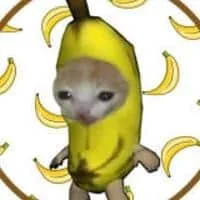 BananaCat Logo