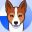 Basenji