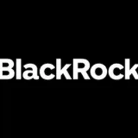 BlackRock USD Institutional Digital Liquidity Fund logo