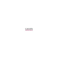 CACEIS logo
