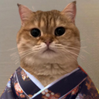 catownkimono