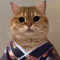 catownkimono