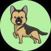 Abby Inu (ABBY) Abby Inu (ABBY)