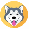 Alaska Inu (LAS) Alaska Inu (LAS)
