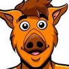 ALF TOKEN (ALF) ALF TOKEN (ALF)