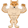 Alpha Shiba Inu (ALPHASHIB) Alpha Shiba Inu (ALPHASHIB)