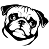 Animal Friends United (AFU) Animal Friends United (AFU)