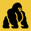 ApeDAO (APEIN) ApeDAO (APEIN)