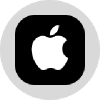 Apple Tokenized Stock (Ondo) (AAPLON)