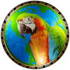 AraPlanet (ARAP) AraPlanet (ARAP)