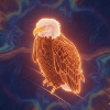 Aura Farming Eagle (EAGLE)