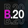 B20 (B20) B20 (B20)