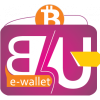 B4U Wallet: Exchange from Unknown