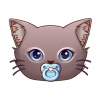 Baby Cat (BABYCAT) Baby Cat (BABYCAT)