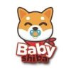 Baby Shiba (BHIBA) Baby Shiba (BHIBA)