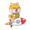 Baby Shiba Rocket (BSHIBR) Baby Shiba Rocket (BSHIBR)