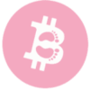 BabyBitcoin (BABYBITC) BabyBitcoin (BABYBITC)