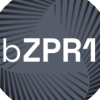 Backed ZPR1 $ 1-3 Month T-Bill (BZPR1) Backed ZPR1 $ 1-3 Month T-Bill (BZPR1)