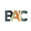 BAIC (BAIC) BAIC (BAIC)