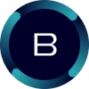 Balanced Network (BALN) Balanced Network (BALN)
