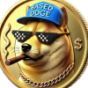 Based Doge (BDOGE)