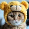 Bear Cat (BC) Bear Cat (BC)