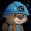 Beaver Coin (beaver) Beaver Coin (beaver)
