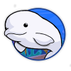 BELUGA (BELUGA) BELUGA (BELUGA)