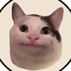 Beluga Cat (BELUGA) Beluga Cat (BELUGA)