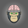 Big Brain Capital DAO (BBC DAO) Big Brain Capital DAO (BBC DAO)
