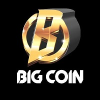 Big Coin (BSC) (BIG)
