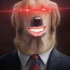 Billion Dollar Inu (BINU) Billion Dollar Inu (BINU)