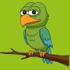 BIRBonSOL (BIRB) BIRBonSOL (BIRB)