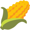 BITCORN (CORN) BITCORN (CORN)