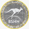 Bitnewcoin (BSHN) Bitnewcoin (BSHN)