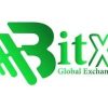 BitX (BITX)