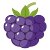 Blackberry Token (BB) Blackberry Token (BB)