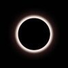 BlackHoleDAO (BHO) BlackHoleDAO (BHO)
