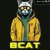 BlastCat (BCAT) BlastCat (BCAT)