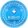 Blueshare Token (BST1) Blueshare Token (BST1)