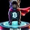 blum-token-blum-coin-logo.jpg