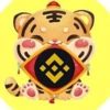 BNB Tiger (BNBTIGER)